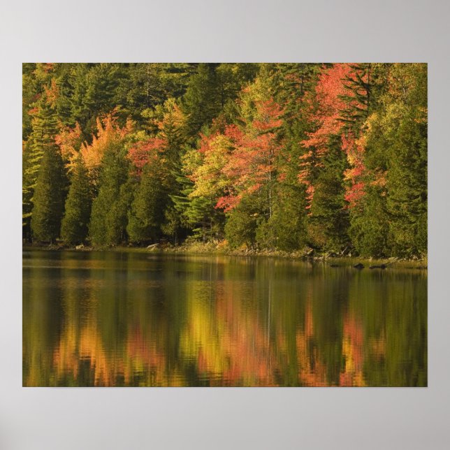 Affiche États-Unis; Maine; Acadia NP. Reflets automnaux à (Devant)