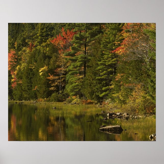 Affiche États-Unis; Maine; Parc national d'Acadia. Réflexi (Devant)
