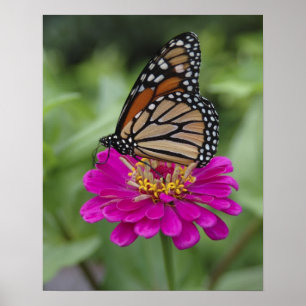 Affiche États-Unis, Massachusetts, Boylston, Tower Hill