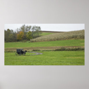 Affiche États-Unis, nord-est de l'Ohio. Buggy amish dans u