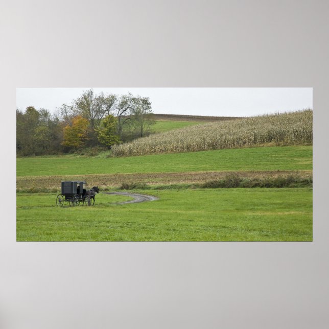 Affiche États-Unis, nord-est de l'Ohio. Buggy amish dans u (Devant)