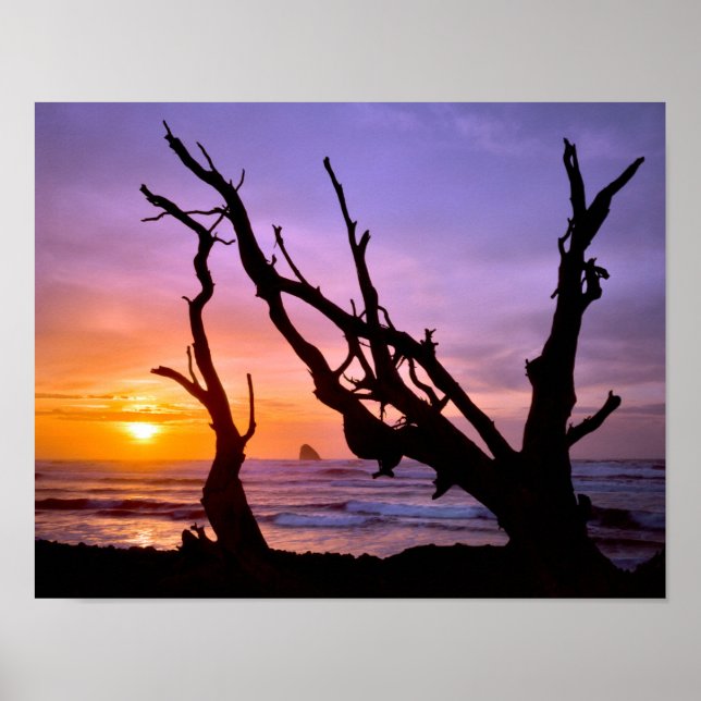 Affiche États-Unis, Oregon, Cape Meares. Coucher de soleil (Devant)