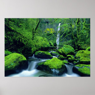 Affiche États-Unis, Oregon, Columbia River Gorge National