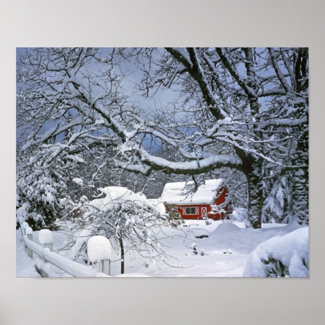 Affiche États-Unis, Oregon, comté de Clackamas. Neige fraî (Devant)