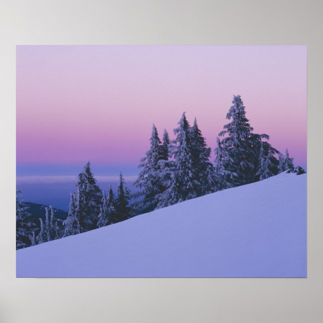 Affiche États-Unis, Oregon, Deschutes National Forest, Dus (Devant)