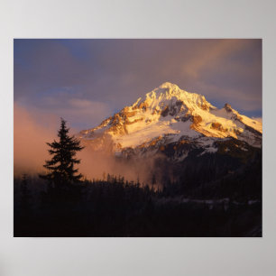 Affiche États-Unis, Oregon, Forêt nationale du mont Hood. 