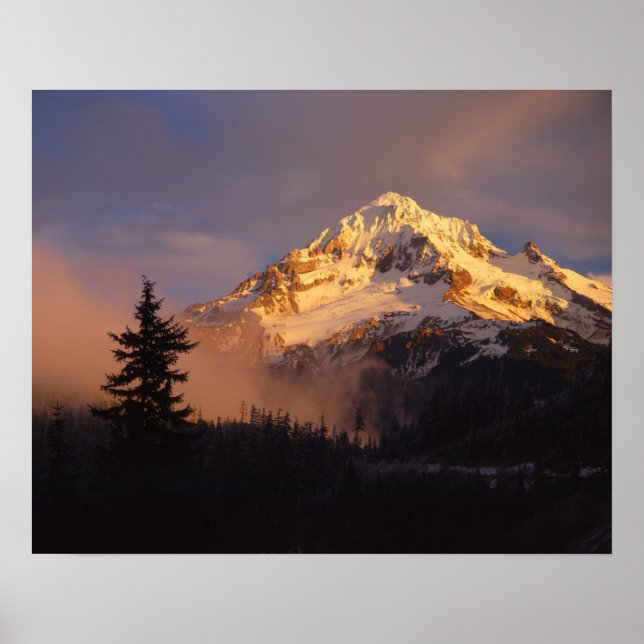 Affiche États-Unis, Oregon, Forêt nationale du mont Hood.  (Devant)