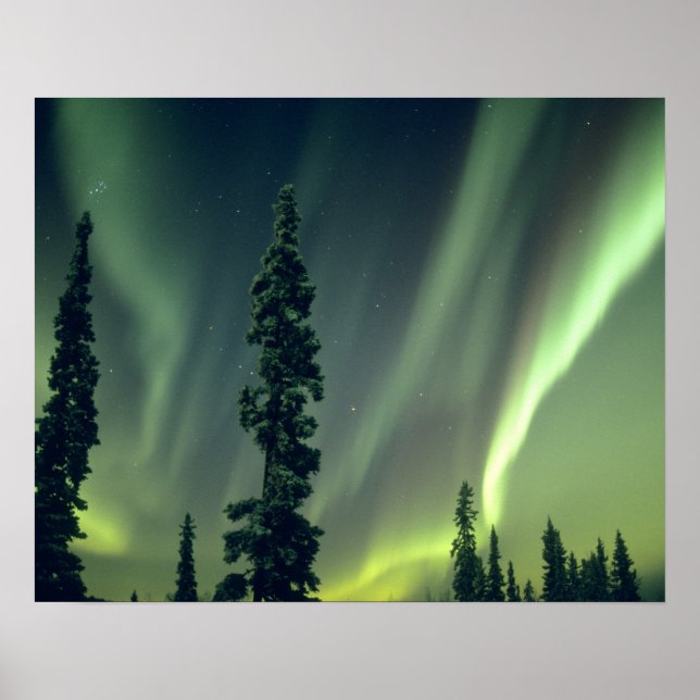 Affiche États-Unis, région de Fairbanks, centre de l'Alask (Devant)