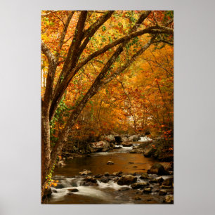 Affiche États-Unis, Tennessee. Ruisseau Rushing Mountain 3