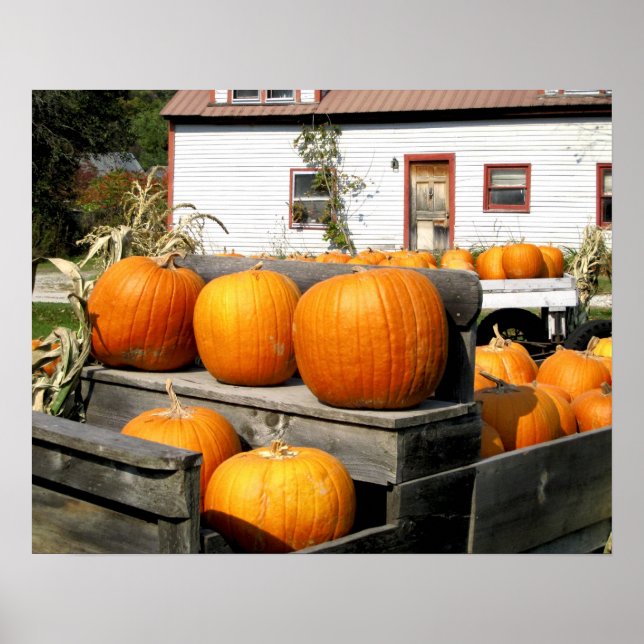 Affiche États-Unis, Vermont. Citrouilles (Devant)