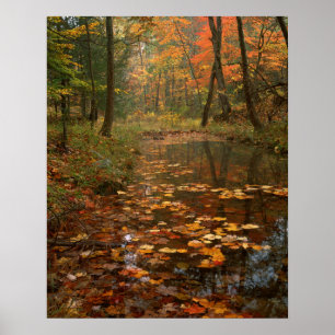 Affiche États-Unis, Virginie, Automne dans le parc d'État