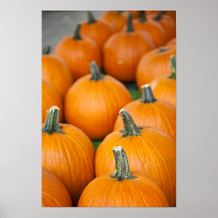 Affiche États-Unis, Virginie-Occidentale, Charleston. Capi