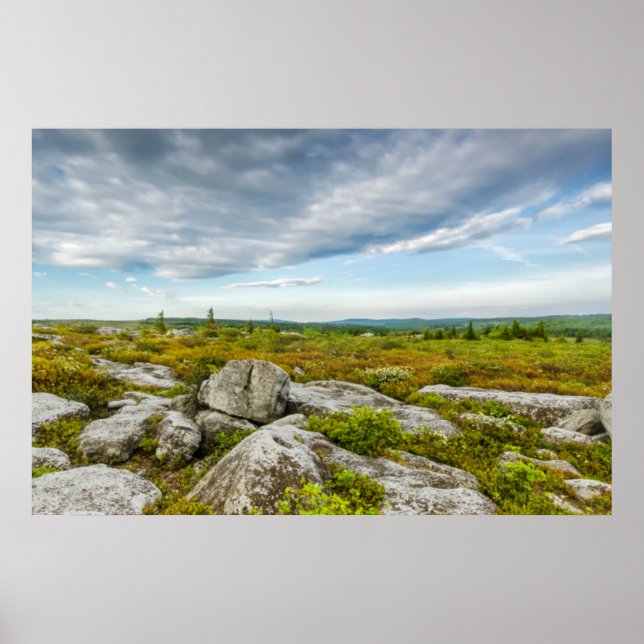 Affiche États-Unis, Virginie occidentale, Davis. Landscape (Devant)