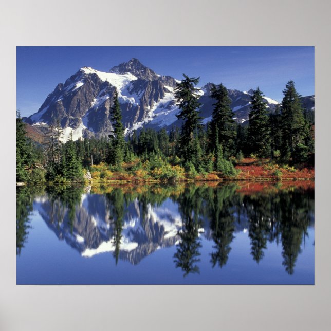 Affiche États-Unis, WA, Heather Meadows RA. Mont Shuksan à (Devant)