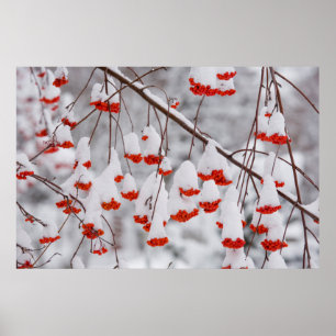 Affiche États-Unis, Washington, comté de Spokane