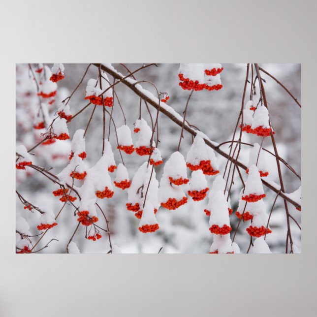 Affiche États-Unis, Washington, comté de Spokane (Devant)