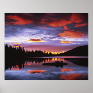 Affiche États-Unis, Washington, Parc national du mont Rain
