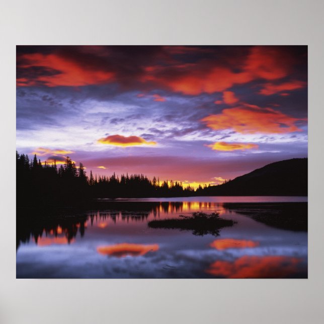 Affiche États-Unis, Washington, Parc national du mont Rain (Devant)