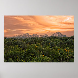 Affiche États-Unis, Wyoming, Parc national de Grand Teton 