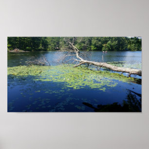 Affiche été ensoleillé