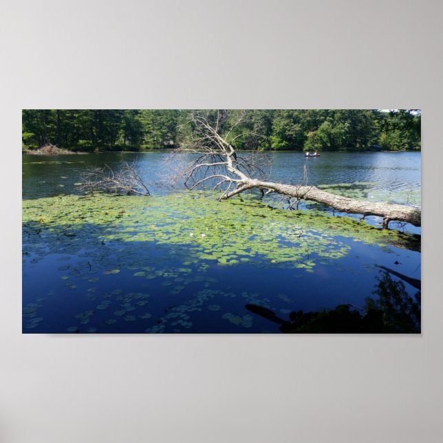 Affiche été ensoleillé (Devant)