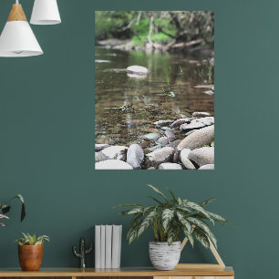 Affiche Eté Stream Photo Calme Paysage