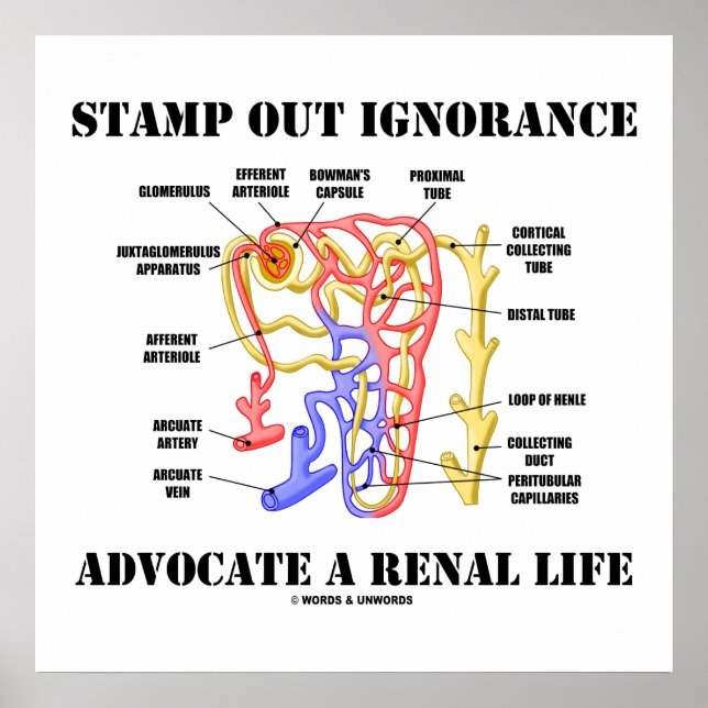Affiche Éteins L'Ignorance Avocat D'Un Néphron À Vie Renal (Devant)