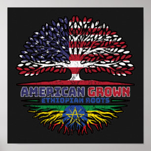 Affiche Ethiopie États-Unis d'Amérique Éthiopie
