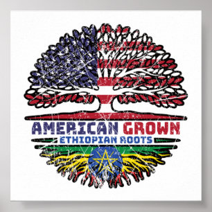 Affiche Ethiopie États-Unis d'Amérique Éthiopie