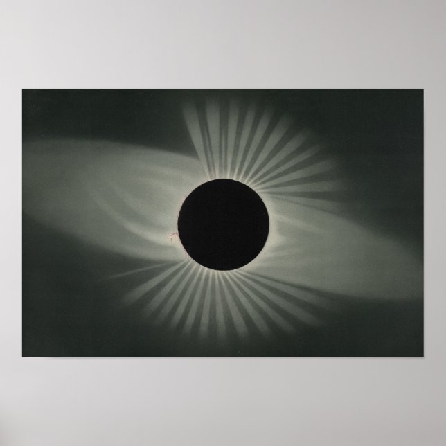 Affiche Etienne Leopold Trouvelot - Total Eclipse (Devant)