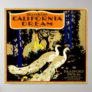 Affiche Étiquette de boîte d'orange de marque California D