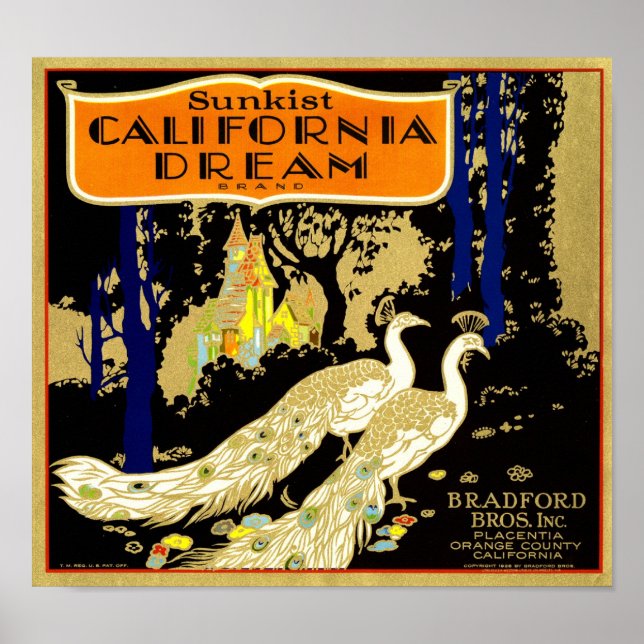 Affiche Étiquette de boîte d'orange de marque California D (Devant)