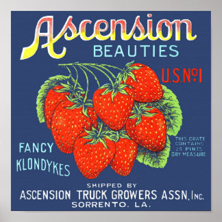 Affiche Étiquette de caisse de fraises vintage La Nouvelle