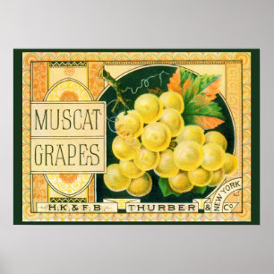 Affiche Étiquette de caisse de fruits vintage, raisins Mus