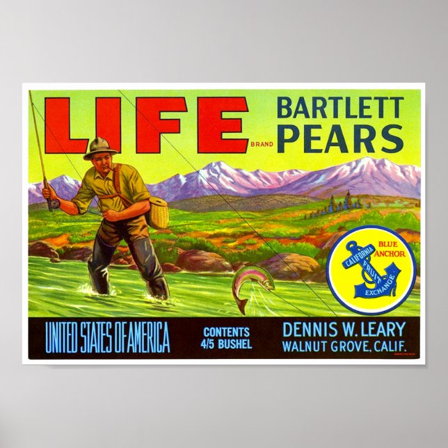 Affiche Étiquette de caisse de poires Bartlett de la marqu (Devant)