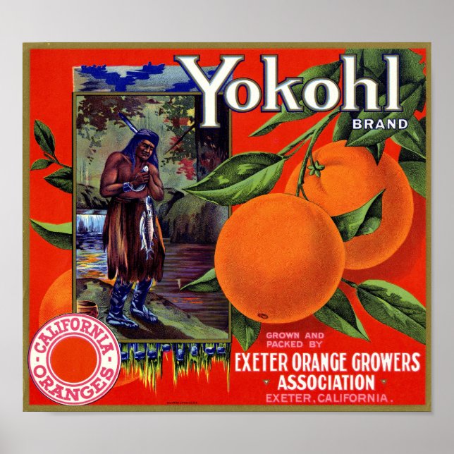 Affiche Étiquette de caisse d'orange Yokohl Brand Schmidt  (Devant)