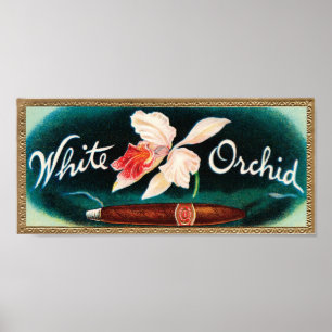 Affiche Étiquette de cigre des orchidées blanches