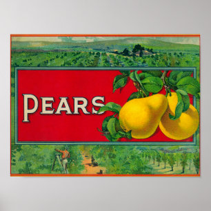 Affiche Étiquette de fréquence Stock