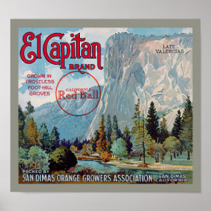 Affiche Étiquette de fruit Oranges San Dimas Marque El Cap