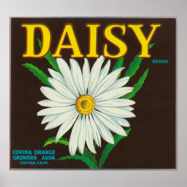 Affiche Étiquette de la marque Daisy Citrus Crate (Devant)