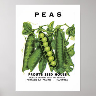 Affiche Étiquette de paquets de graines de pois