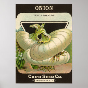 Affiche Étiquette d'illustration d'art de paquet de semenc