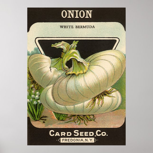 Affiche Étiquette d'illustration d'art de paquet de semenc (Devant)