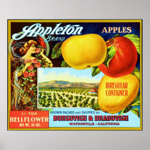 Affiche Étiquette vintage de caisse de fruit