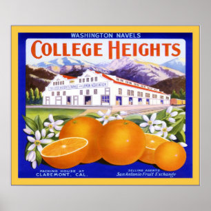 Affiche Étiquette vintage Fruit