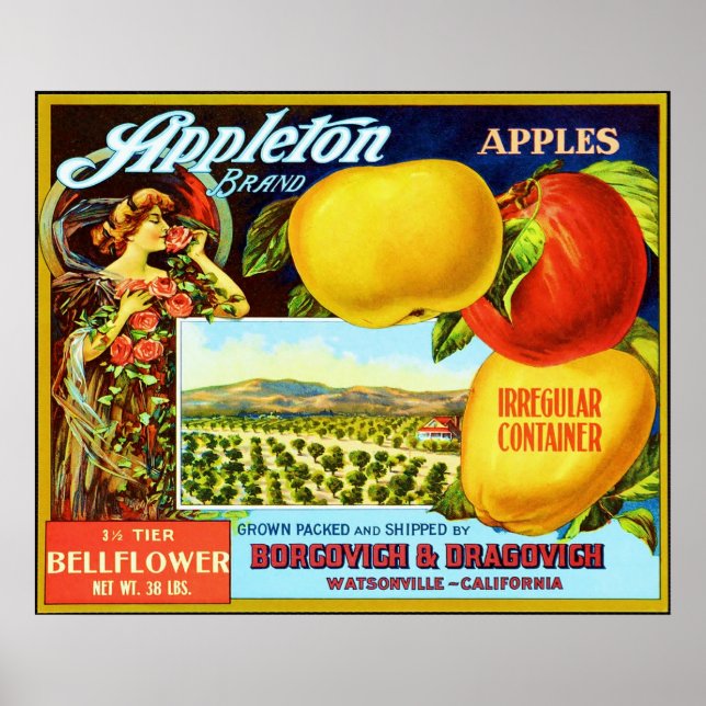 Affiche Étiquette vintage Fruit (Devant)