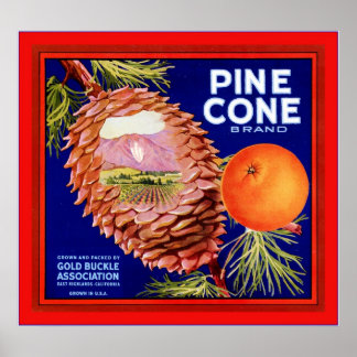Affiche Étiquette vintage Fruit