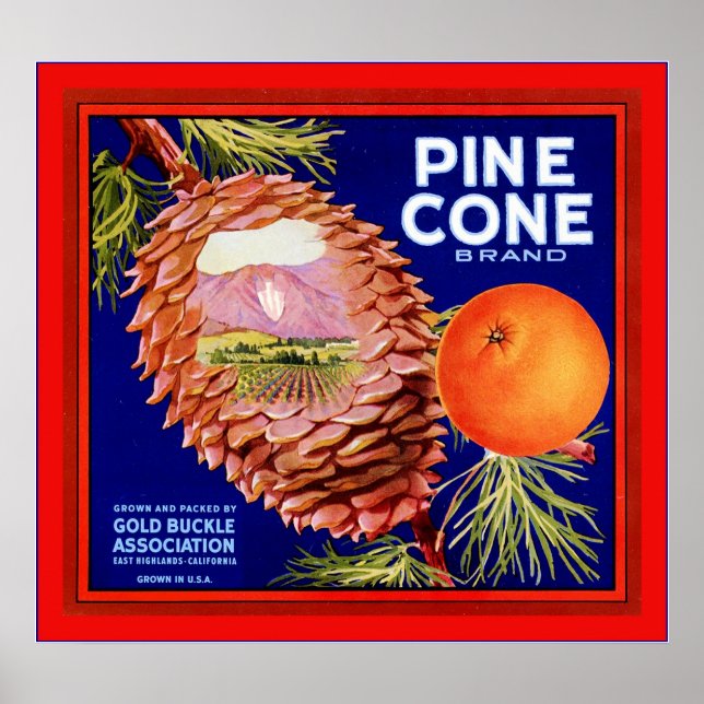 Affiche Étiquette vintage Fruit (Devant)