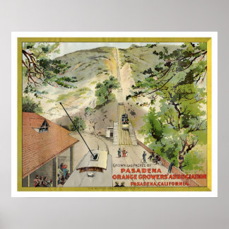 Affiche Étiquette Vintage orange