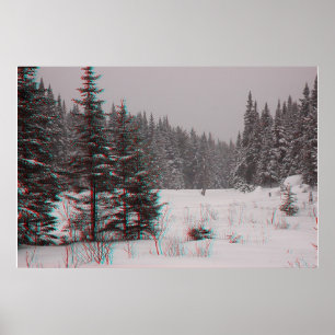 Affiche Étiquettes de castor